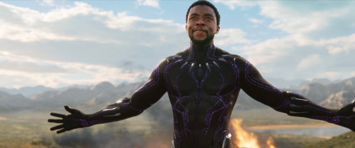 T'challa stands ready for battle.